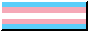 88x31 button, trans flag